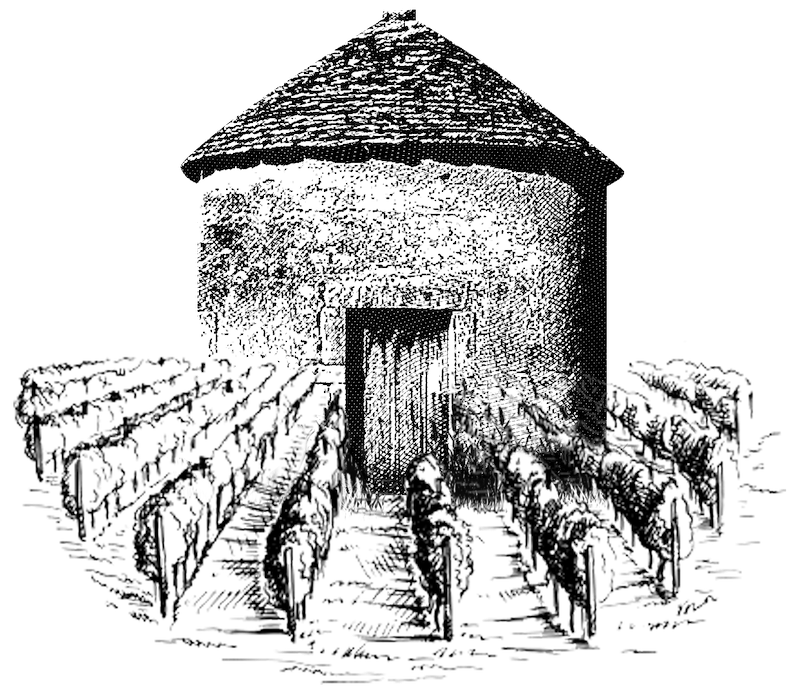 moulin vignoble DAMPT